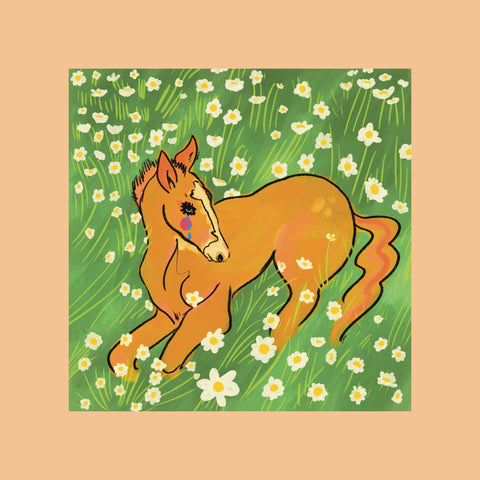 8”X10” Foal in flowers print